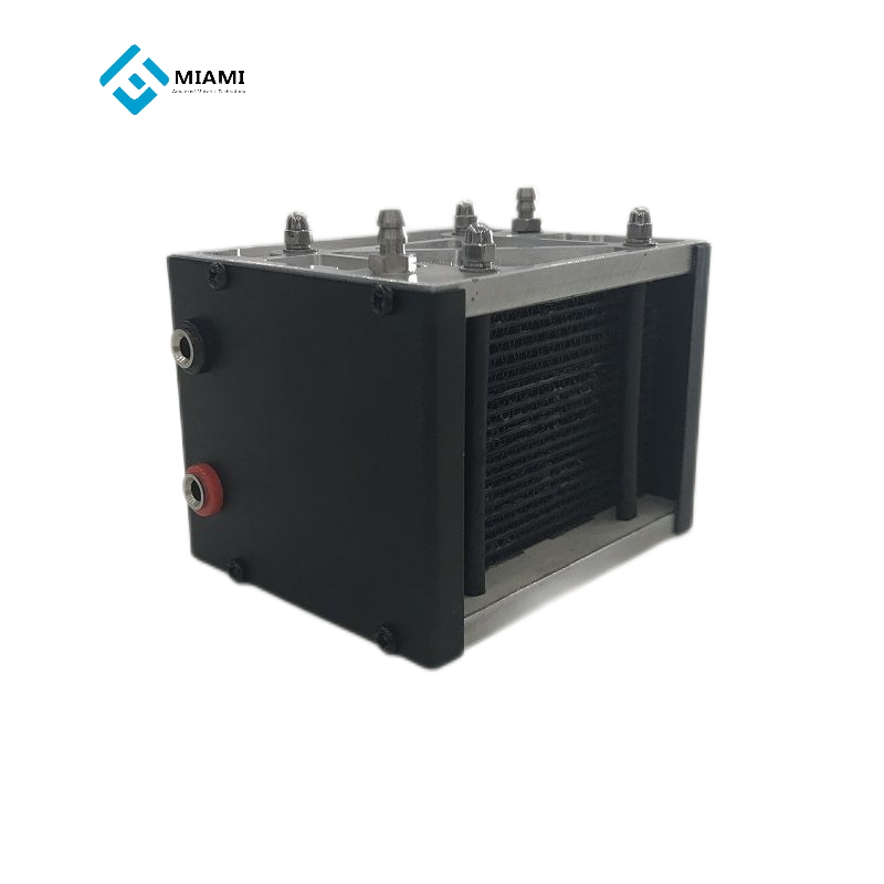 VET Pila De Mudah Bakar Pem Bahan Api Sel 12v